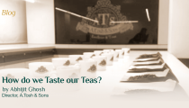 How do we Taste our Teas? by Abhijit Ghosh, Director at A.Tosh & Sons