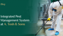 Integrated Pest Management System at A. Tosh & Sons